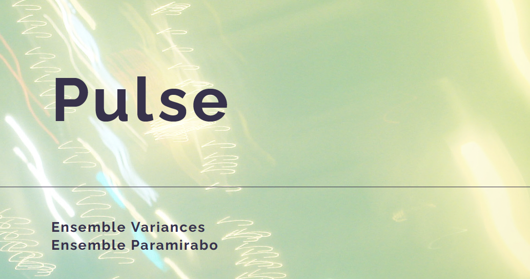 Visuel concert Pulse Paramirabo
