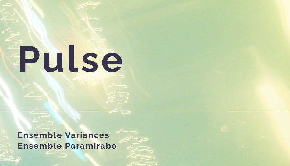 Visuel concert Pulse Paramirabo